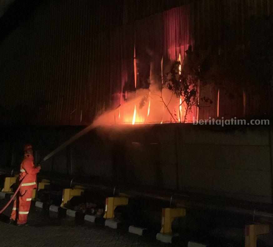Foto petugas Damkarla Gresik berjibaku memadamkan api.