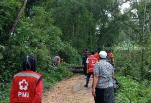 Angin Kencang Akibatkan Rumah Rusak dan Pohon Tumbang di Pamekasan