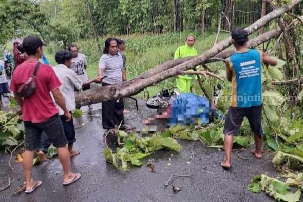 Foto Berita Jatim