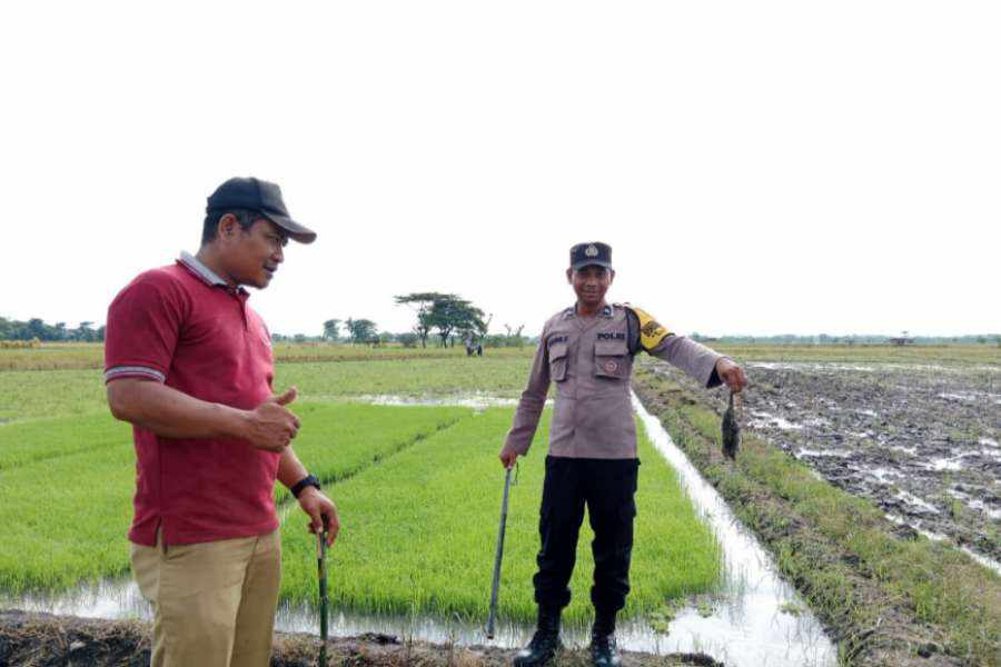 Foto Berita Jatim