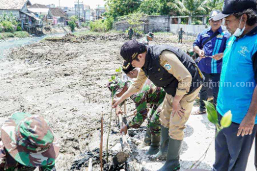Giat penanaman ratusan bibit mangrove yang digelar di kawasan pantai Kelurahan Blimbing, Kecamatan Paciran, Kabupaten Lamongan.