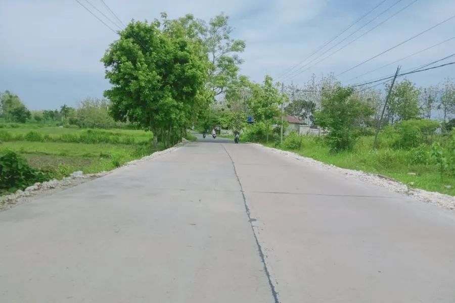 jalan bulu