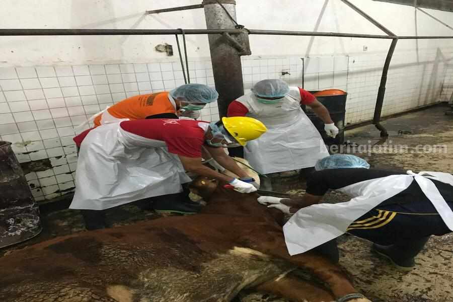Berikut Ciri RPH Bersertifikat Halal di Banyuwangi Foto Berita Jatim