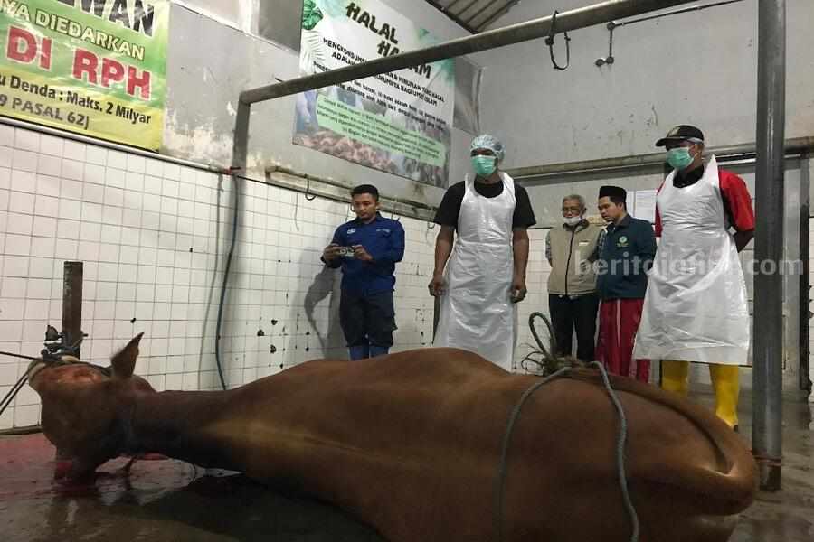 Seluruh RPH di Banyuwangi Lolos Sertifikasi Halal Foto Berita Jatim
