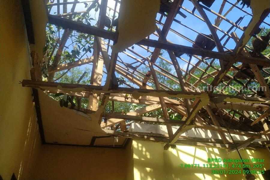 Pohon Karet Bolu Blitar Tumbang, Timpa 2 Rumah dan Tutup Jalan Foto Berita Jatim