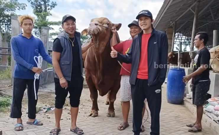 Gus Iqdam Keliling Kandang Sapi Terbesar di Kediri, Borong? Foto Berita Jatim