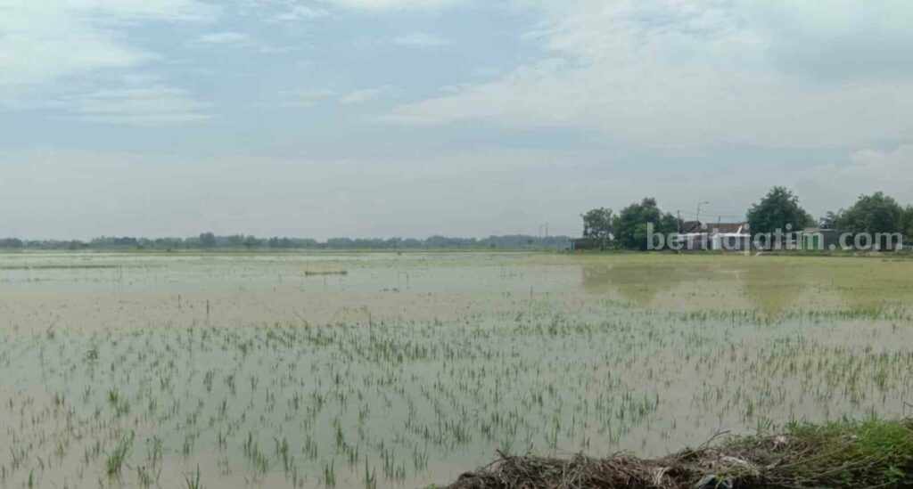 Foto Berita Jatim