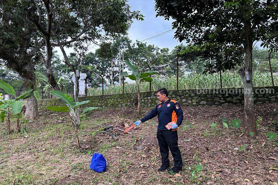 Diduga Hasil Hubungan Gelap, Bayi Perempuan Ditemukan di Pekarangan Perkebunan Prigen Foto Berita Jatim