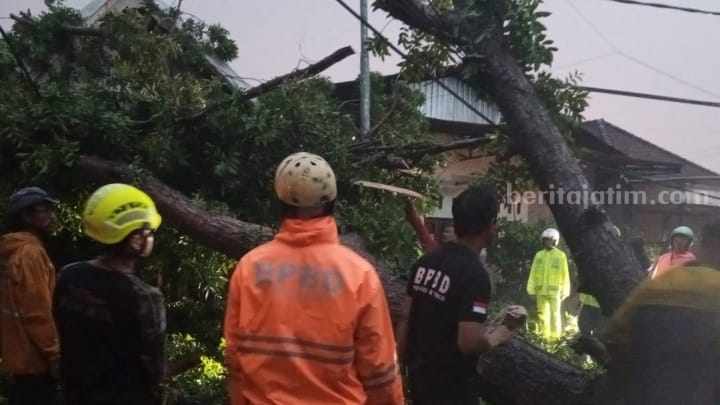 Foto Berita Jatim