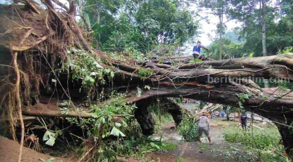 Foto Berita Jatim