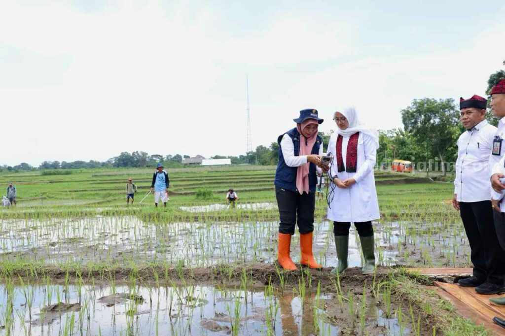 Foto Berita Jatim