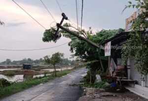Cuaca Ekstrem Rusak Fasilitas PLN di Pamekasan Foto Berita Jatim