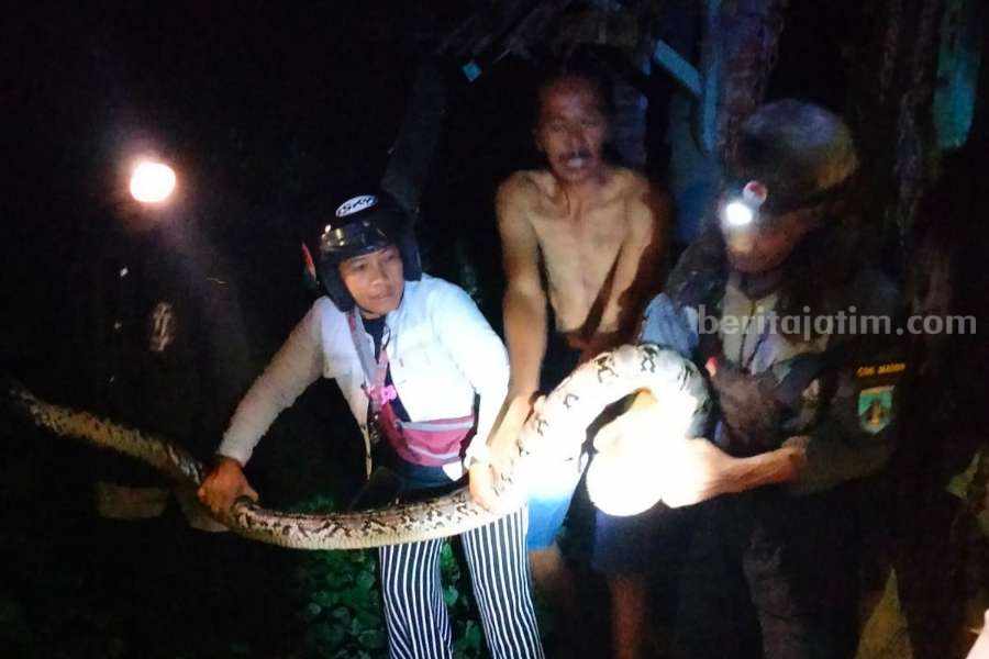 Foto Berita Jatim