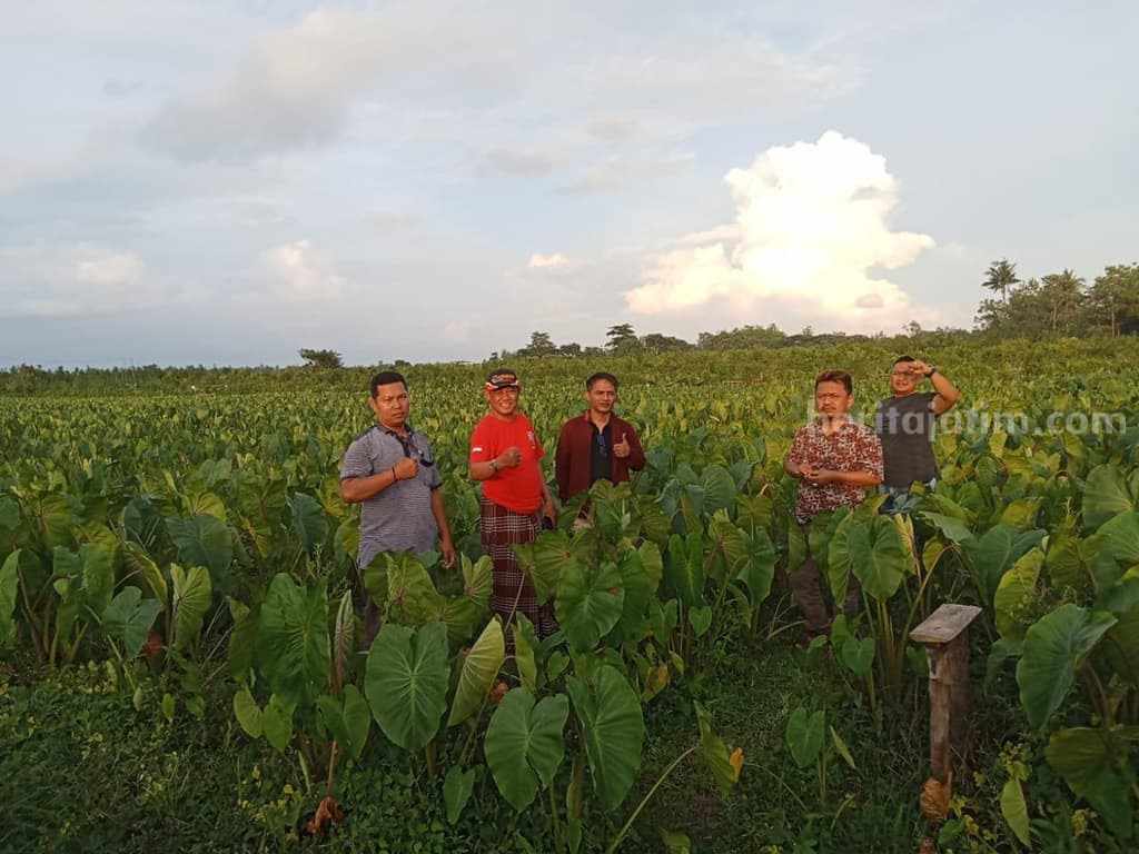 Foto Berita Jatim