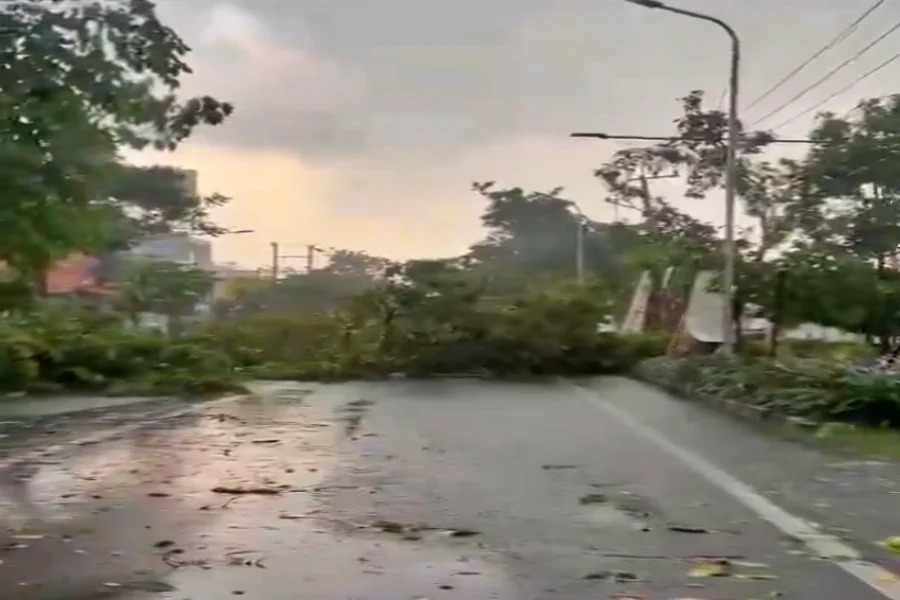 Sidoarjo Kota Diterjang Hujan Es Sebesar Kerikil dan Pohon Tumbang Foto Berita Jatim