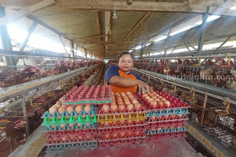 Foto Berita Jatim