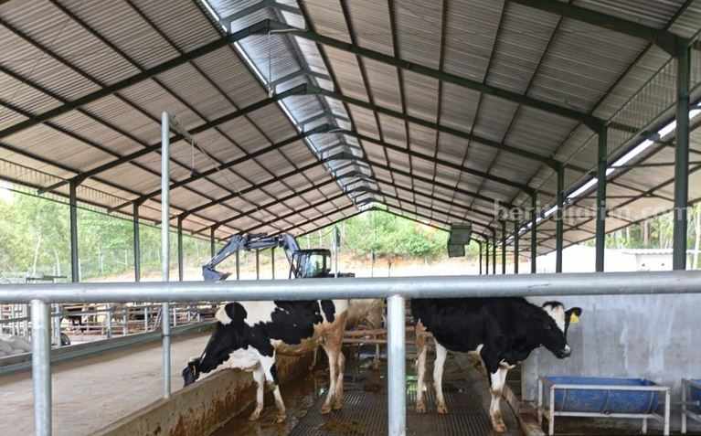 Foto Berita Jatim