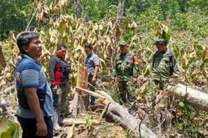 Stop Perusakan Tanaman Hutan di Kabupaten Malang Foto Berita Jatim