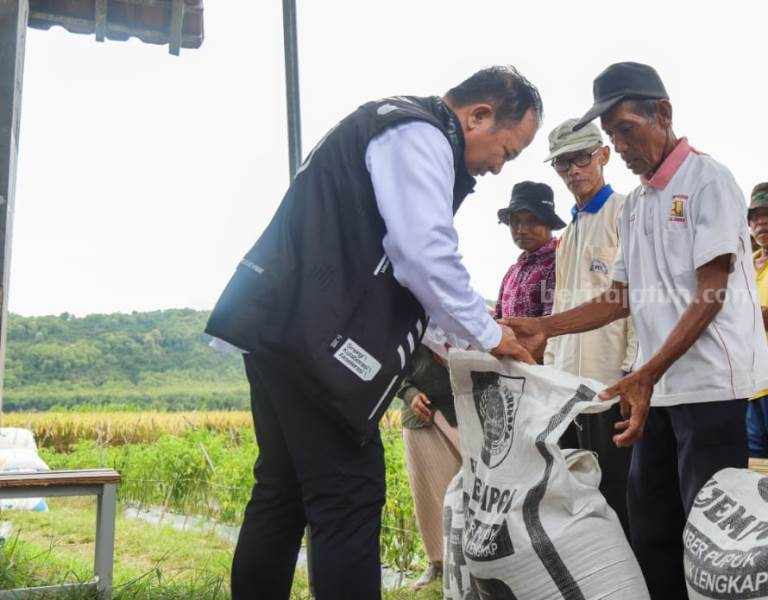 Bupati Jember Gratiskan Pupuk Organik Si Jempol untuk 4 Gapoktan Foto Berita Jatim