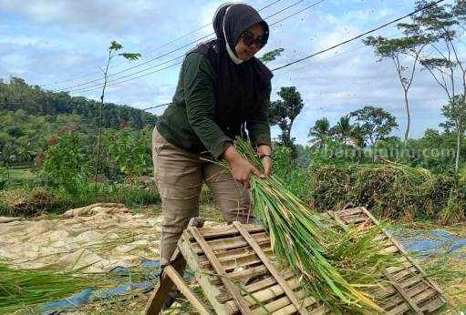 Foto Berita Jatim