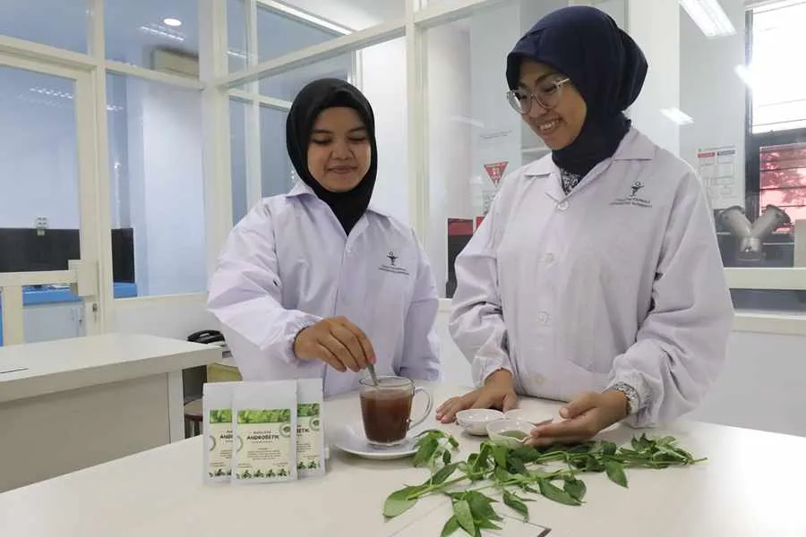 Mahasiswa Ubaya Ciptakan Minuman Herbal untuk Cegah Diabetes Foto Berita Jatim