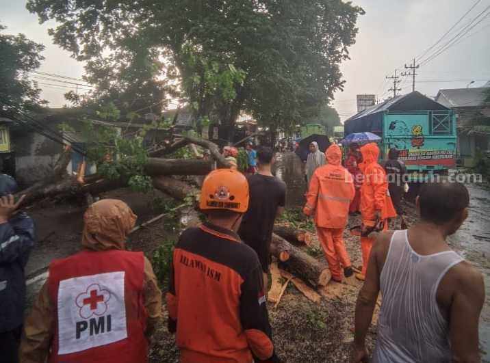 Foto Berita Jatim