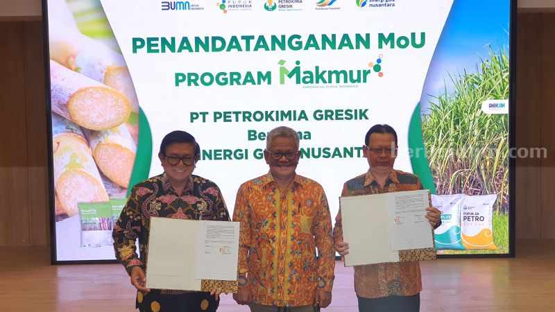 Petani Tebu Mitra SGN Pastikan Kebutuhan Pupuknya, 98 Ribu Ton Terpenuhi Tahun Ini Foto Berita Jatim