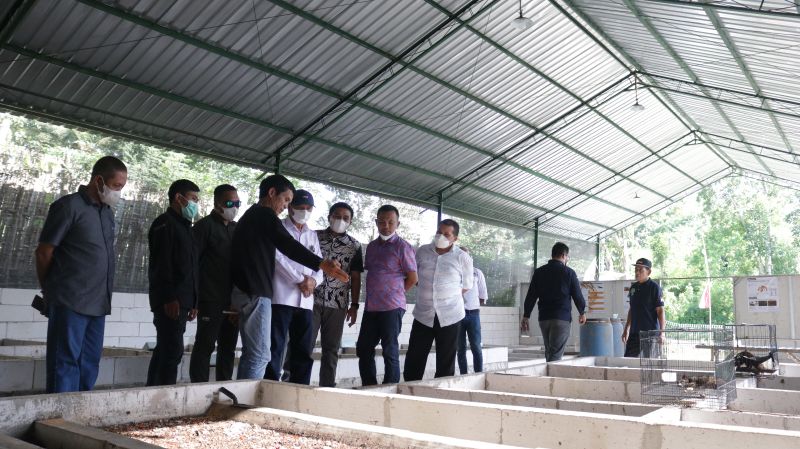 Dari Lalat Hitam di Banyuwangi, Sampah Menjadi Berkah dan Mendunia Foto Berita Jatim