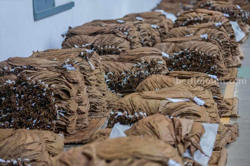 Foto Berita Jatim