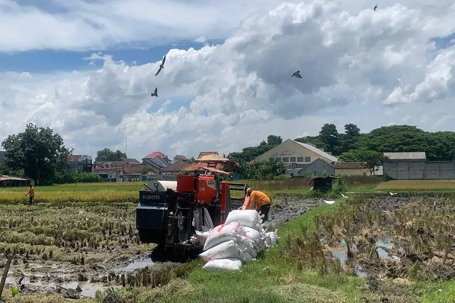 Foto Berita Jatim