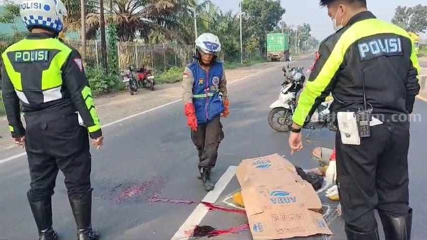 Foto Berita Jatim