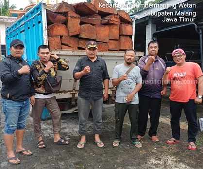RPH Sumberagung Malang Gagalkan Pencurian Kayu Mahoni Foto Berita Jatim