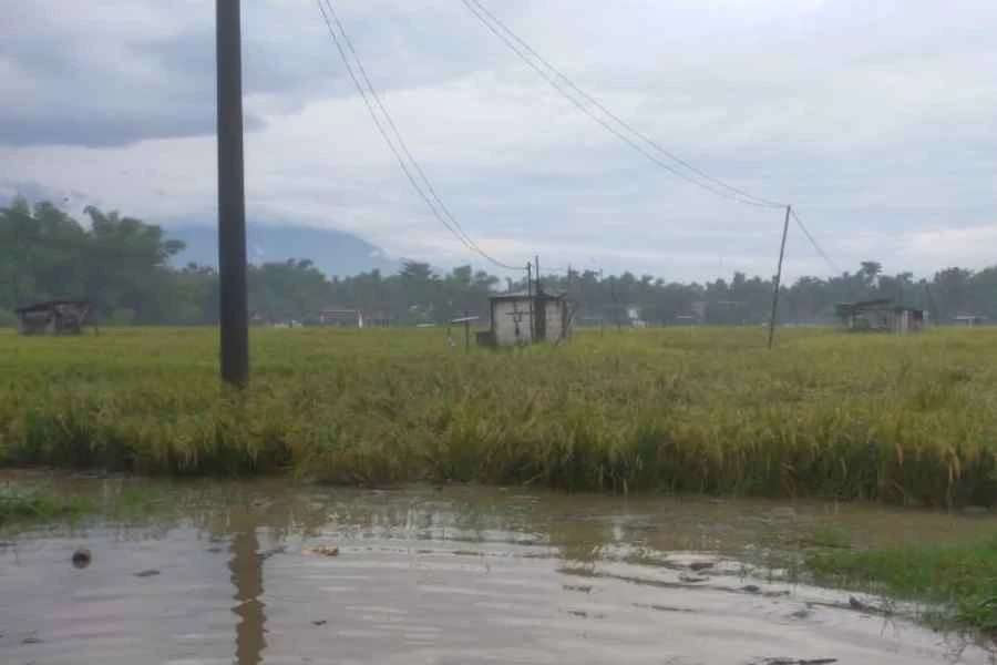 Foto Berita Jatim
