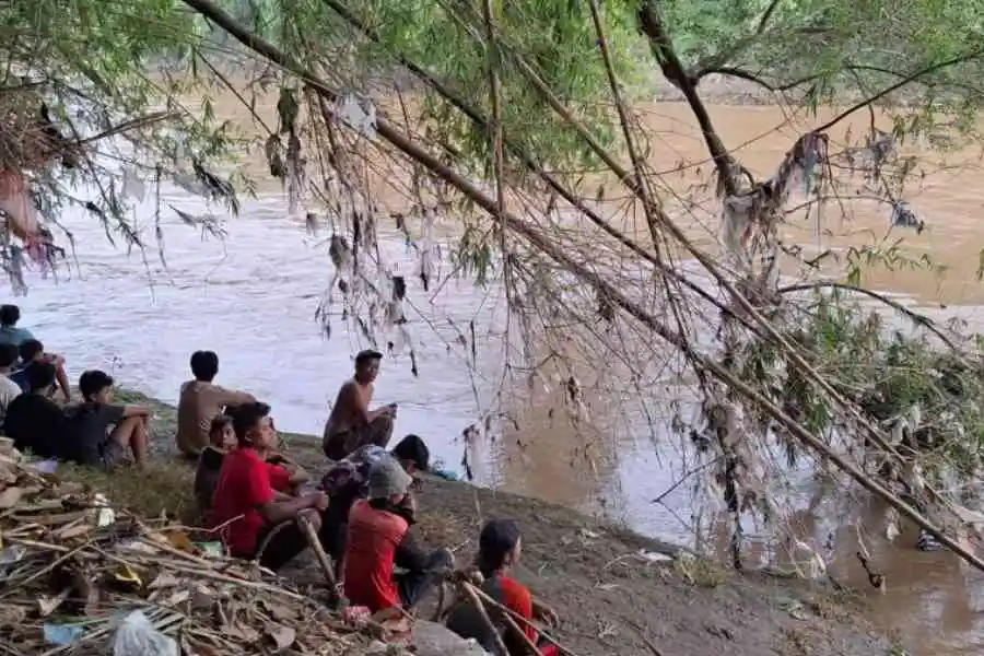 Pemuda Ngawi Dikabarkan Hanyut di Bengawan Madiun Foto Berita Jatim