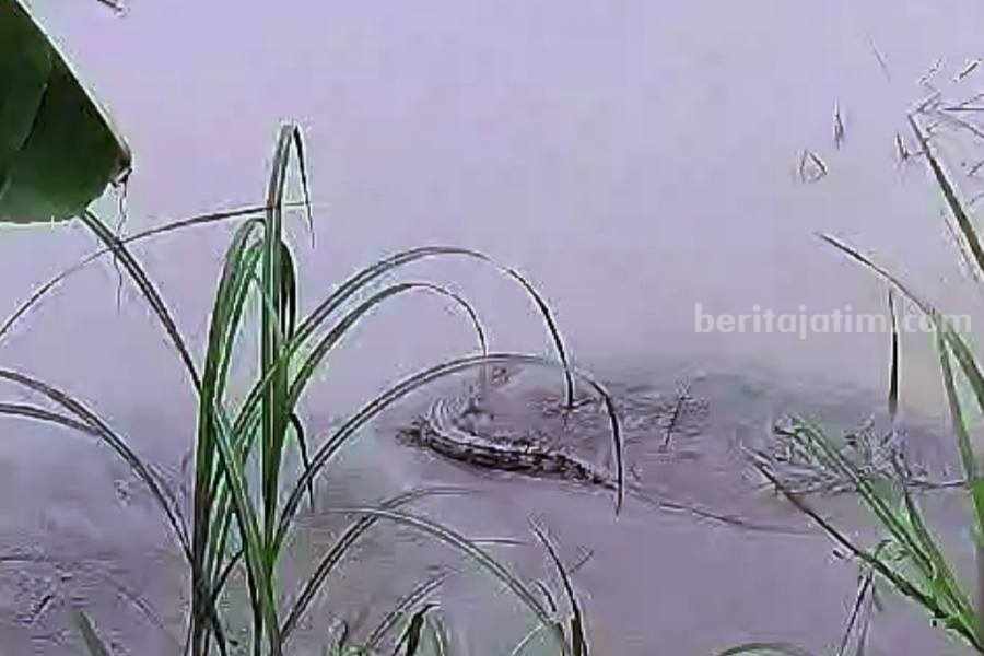 Foto Berita Jatim