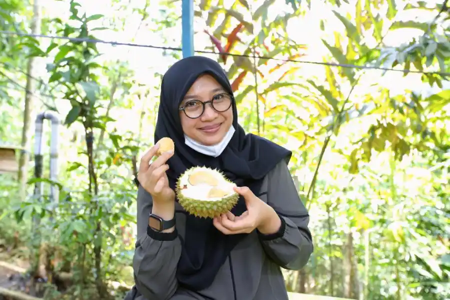 Pemkab Banyuwangi Siapkan Rp111,54 M untuk Pilkada 2024 Foto Berita Jatim