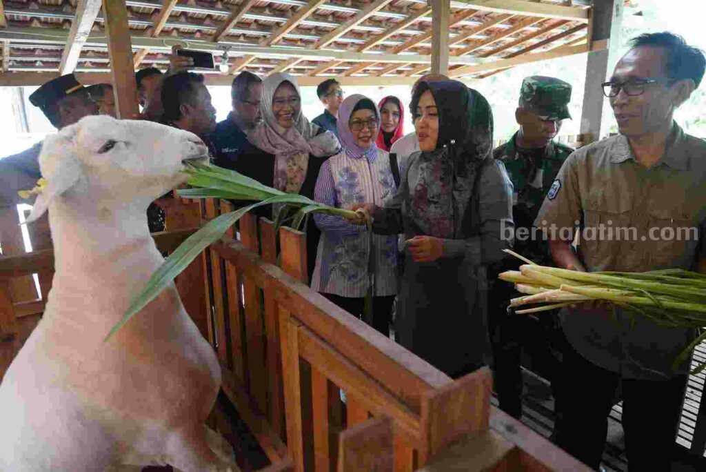 Foto Berita Jatim