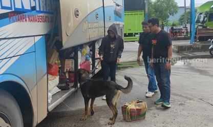 6 Anjing Pelacak Temukan 80 Ribu Gram Sabu di Pelabuhan Bakauhuni Foto Berita Jatim