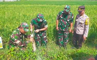 Foto Berita Jatim