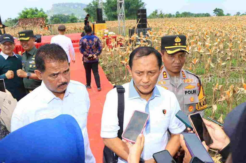 Satgas Pangan Mabes Polri Cek Ketersediaan Jagung di Tuban Foto Berita Jatim