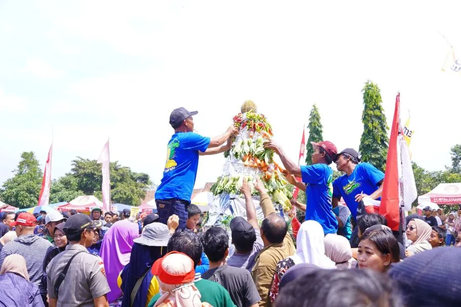 Puncak Jambore Durian di Kebonrejo Didatangi Banyak Pengunjung Foto Berita Jatim