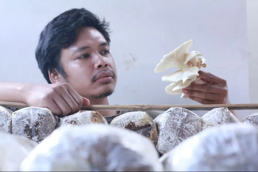 Foto Berita Jatim