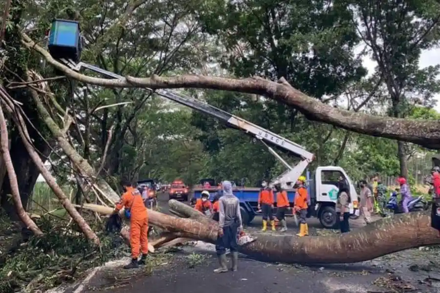 Foto Berita Jatim