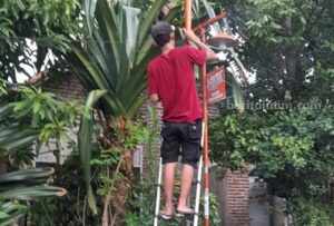 Di Jombang, Ratusan Lampu PJU ‘Ramadhan Heppiii’ Terpasang di 20 Desa Foto Berita Jatim