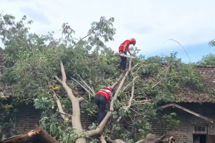 Foto Berita Jatim