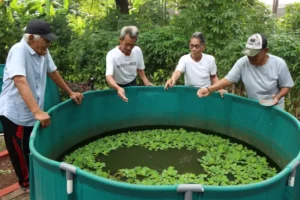 Agrowisata Lansia Bekasi: Surga Hijau yang Menawarkan Kenyamanan dan Aktivitas Produktif Foto Berita Jatim