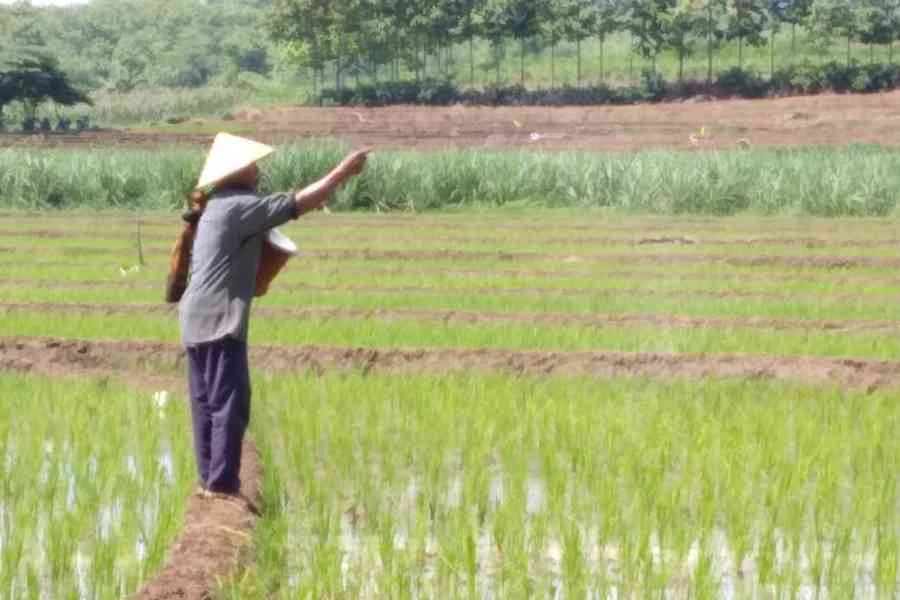 Foto Berita Jatim