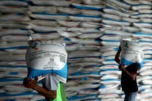Kuota Pupuk Subsidi di Sampang Naik Signifikan Foto Berita Jatim