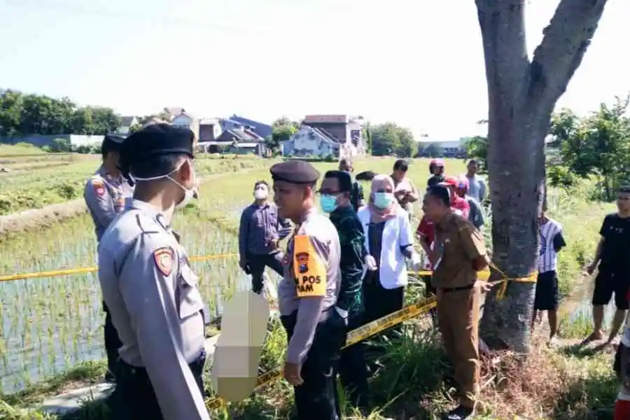 Kakek di Magetan Meninggal di Saluran Air Persawahan Foto Berita Jatim