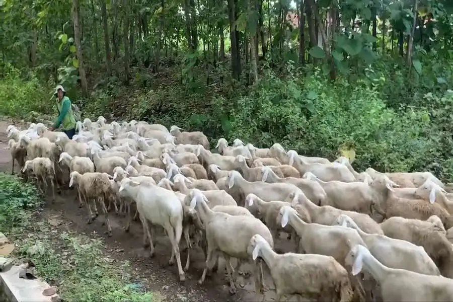 Foto Berita Jatim
